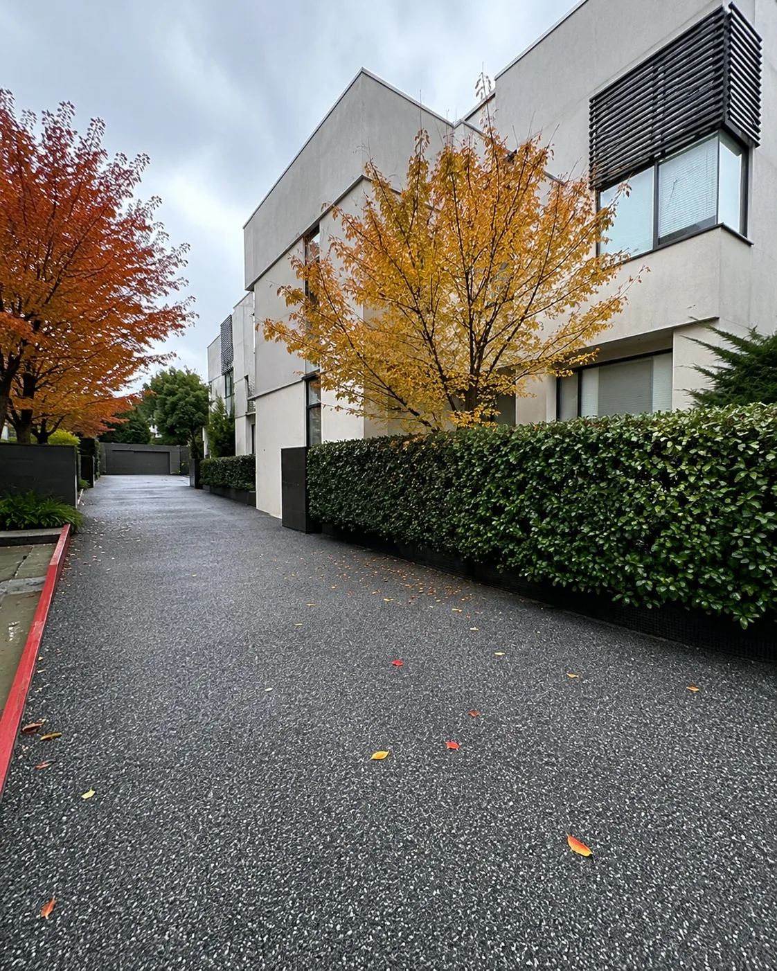 Asphalt driveway running the length of a Newcastle property beside a clipped hedge