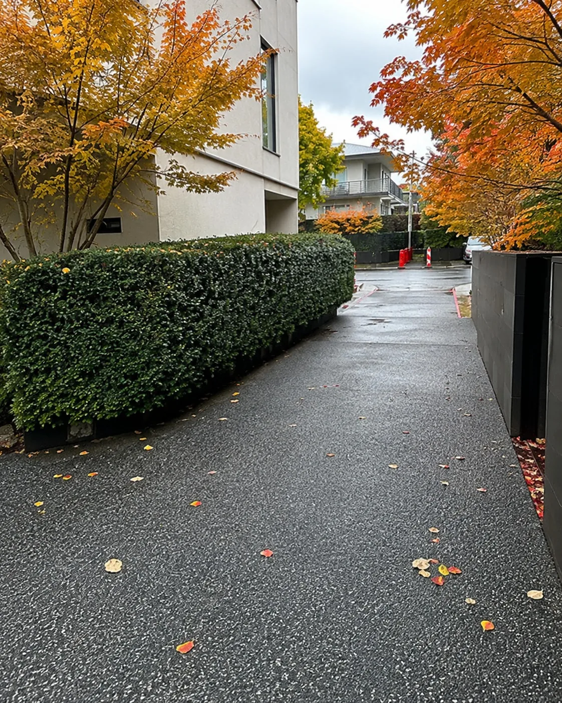 Wet asphalt driveway running past a clipped hedge on a Newcastle property